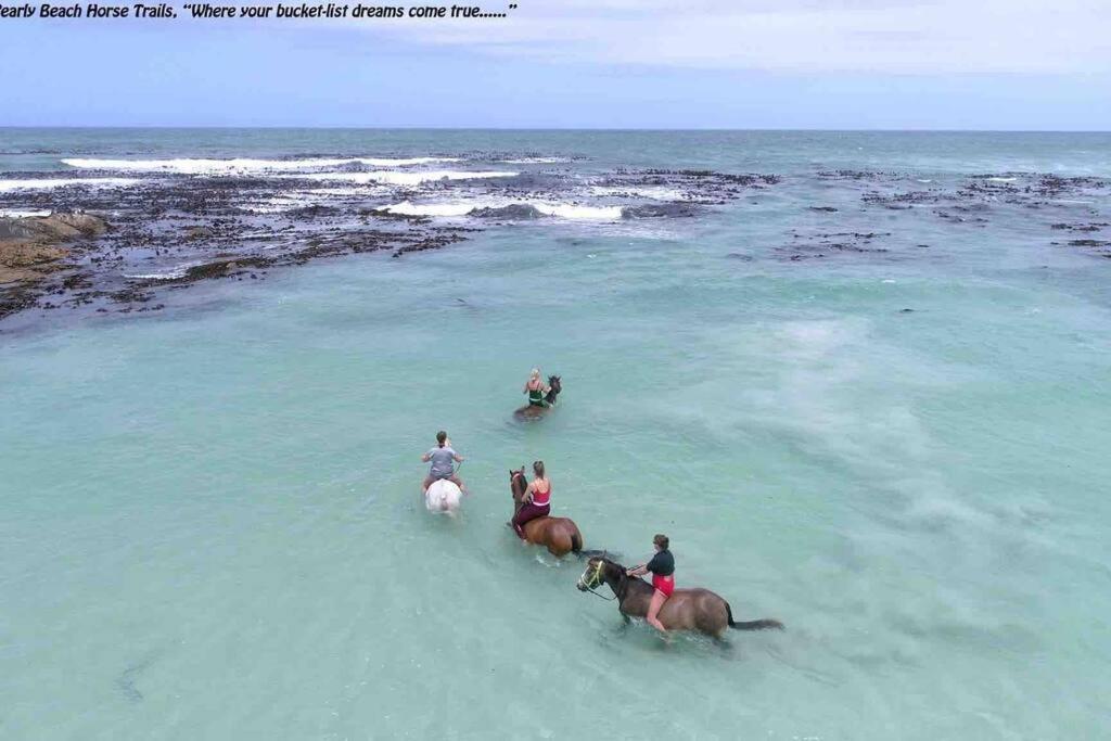 Casa Balena - Gansbaai Seafront Accommodation, Back-Up Power Buitenkant foto